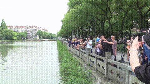 DƬ